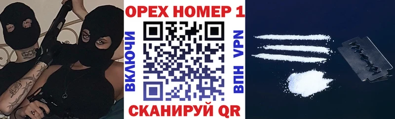 где найти наркотики  Алексин  Cocaine Fish Scale 