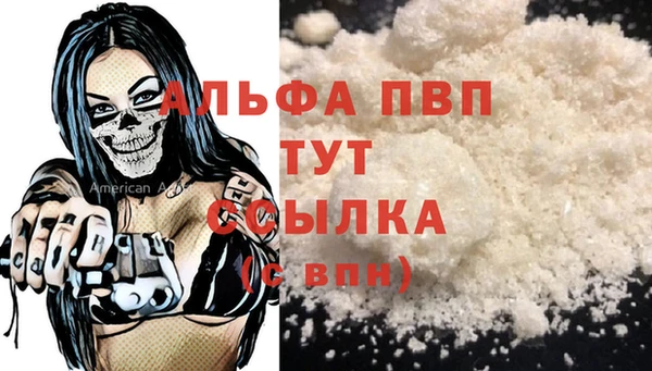 гашик Россошь