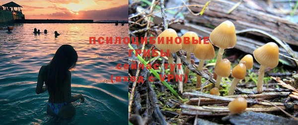 гашишное масло Алзамай