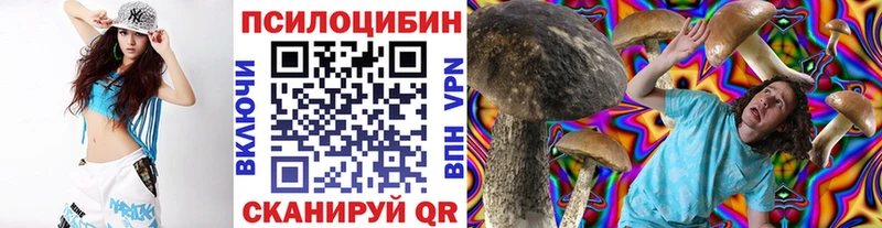 hydra ССЫЛКА  Алексин  Галлюциногенные грибы мицелий 