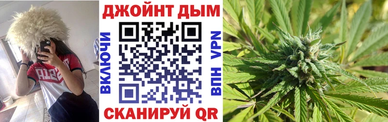 blacksprut   Алексин  Конопля сатива 